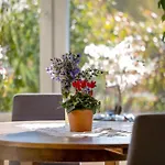 Cathleen Bohnert Appartement *
